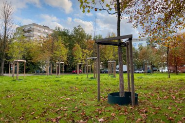 Molenbeek Saint-Jean parkı Brüksel 'de güneşli bir sonbahar gününde