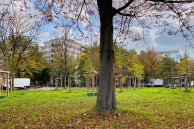 Molenbeek Saint-Jean parkı Brüksel 'de güneşli bir sonbahar gününde