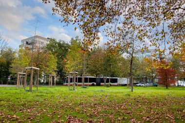 Molenbeek Saint-Jean parkı Brüksel 'de güneşli bir sonbahar gününde