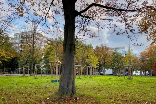 Πάρκο Molenbeek Saint Jean Στις Βρυξέλλες Μια Ηλιόλουστη Φθινοπωρινή Ημέρα — Φωτογραφία Αρχείου
