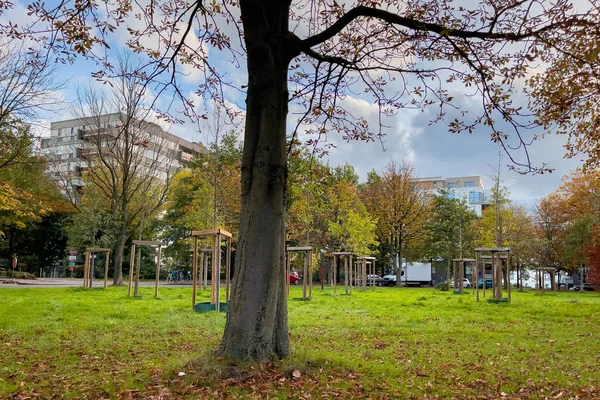 Парк Моленбек Сен Жан Брюсселе Солнечный Осенний День — стоковое фото