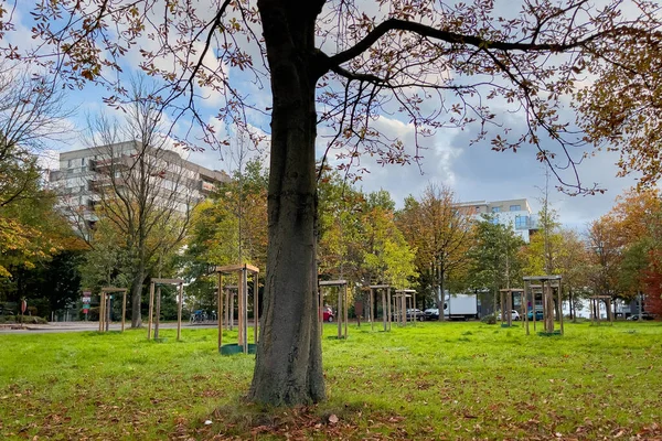 Molenbeek Saint Jean Park Brussel Een Zonnige Herfstdag — Stockfoto
