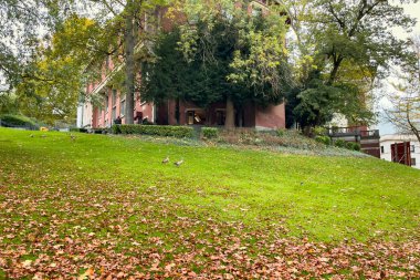 Brüksel 'in merkezindeki Leopold Parkı