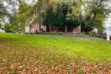 Brüksel 'in merkezindeki Leopold Parkı