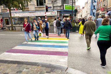 Brüksel 'de gökkuşağı zebrasının çapraz işaretlerini geçen yayalar