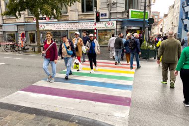 Brüksel 'de gökkuşağı zebrasının çapraz işaretlerini geçen yayalar