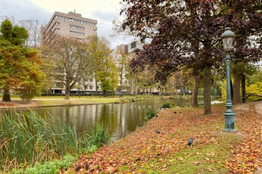 Brüksel 'de sonbahar mevsiminde göleti olan Leopold Parkı
