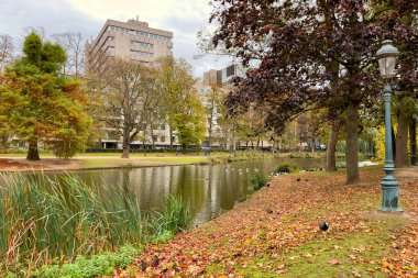 Brüksel 'de sonbahar mevsiminde göleti olan Leopold Parkı