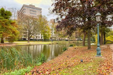 Brüksel 'de sonbahar mevsiminde göleti olan Leopold Parkı