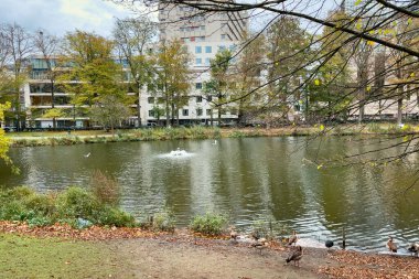 Brüksel 'de sonbahar mevsiminde göleti olan Leopold Parkı