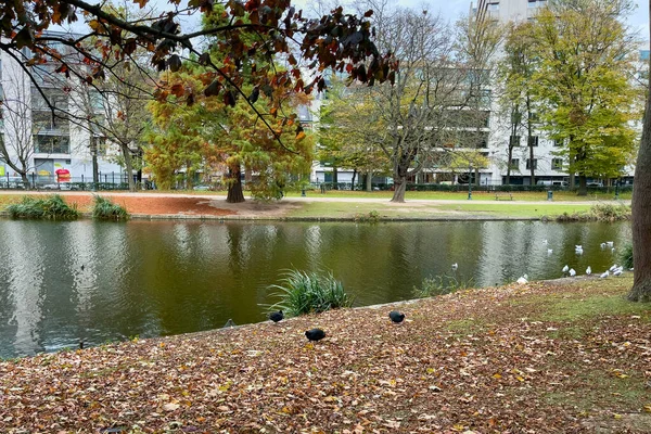 Leopold Park Med Damm Höstsäsongen Bryssel — Stockfoto