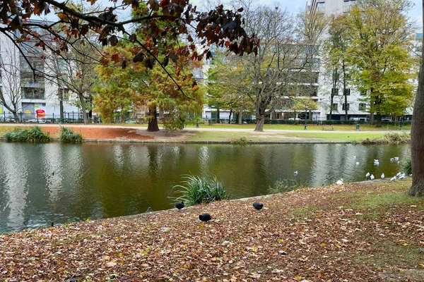 Parque Leopold Com Uma Lagoa Durante Temporada Outono Bruxelas — Fotografia de Stock