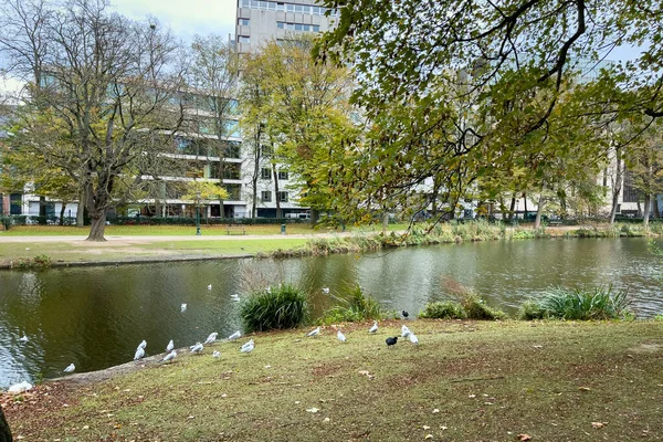 Leopold Park Med Damm Höstsäsongen Bryssel — Stockfoto