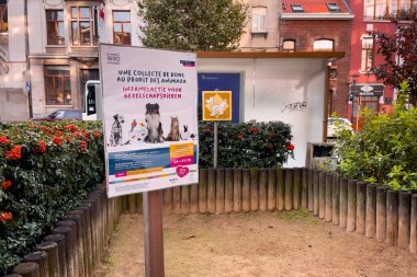 Brüksel 'de küçük köpeklerin kamu alanı