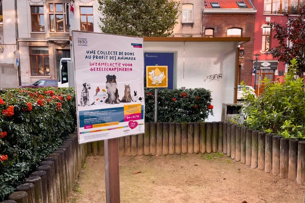 stock image Small dogs' public space in a neighborhood in Brussels