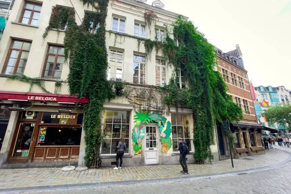 Edificio Antiguo Cubierto Hiedra Verde Común Bruselas — Foto de Stock