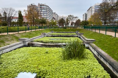 Brüksel 'deki Ambiorix Meydanı' nda yeşil yapraklar