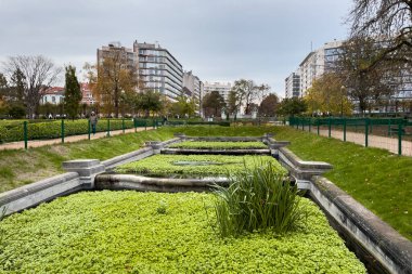 Brüksel 'deki Ambiorix Meydanı' nda yeşil yapraklar
