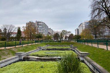 Brüksel 'deki Ambiorix Meydanı' nda yeşil yapraklar