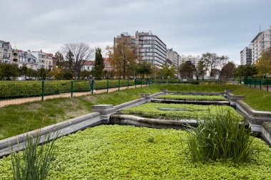 Brüksel 'deki Ambiorix Meydanı' nda yeşil yapraklar