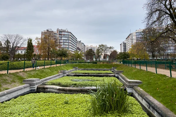 stock image Green foliage at Ambiorix square in Brussels