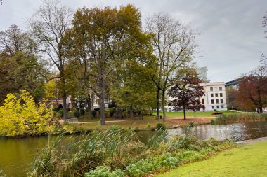 Brüksel 'deki Leopold parkında bir gölet