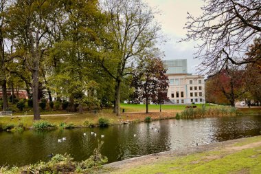 Brüksel 'deki Leopold parkında bir gölet