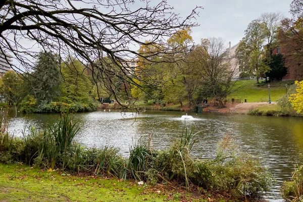 Uma Lagoa Parque Leopold Bruxelas — Fotografia de Stock