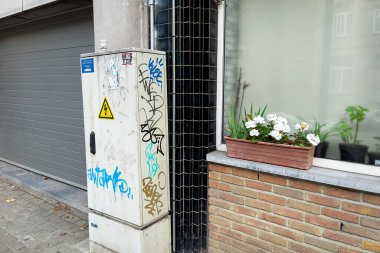 Brüksel 'de bir binanın rafında üzerinde çiçekler olan plastik kaplar.