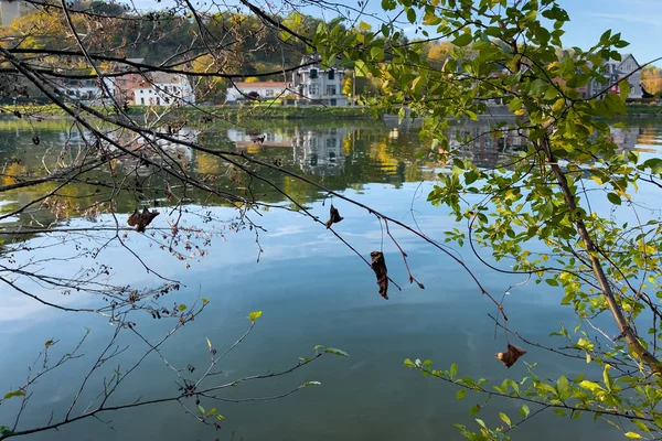 Belçika, Dinant 'taki ağaç dallarının arkasından Meuse nehrinin manzarası