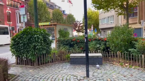 ブリュッセルの近所の小さな庭 — ストック動画