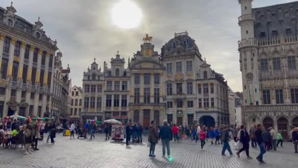 ブリュッセルのザ グランド プレイスに遊びに来る観光客 — ストック動画