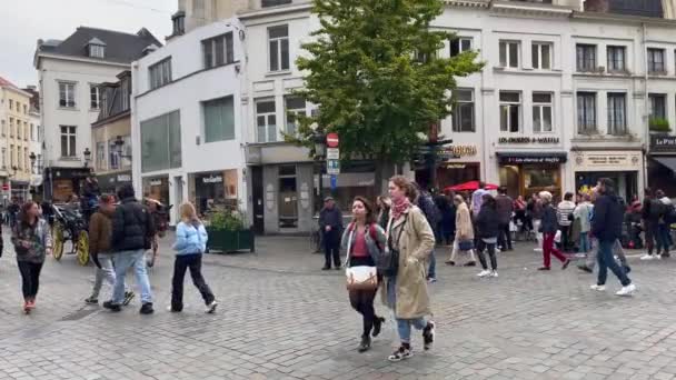 布鲁塞尔市中心街上行走的人 — 图库视频影像