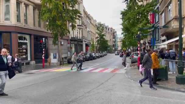 Pedestres Cruzando Zebra Arco Íris Cruzando Marcações Bruxelas — Vídeo de Stock