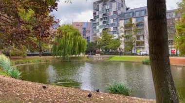 Brüksel 'deki Leopold parkında bir gölet