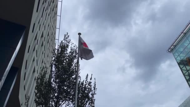 Japanse Vlag Wapperend Buiten Met Bewolkte Lucht Achtergrond — Stockvideo