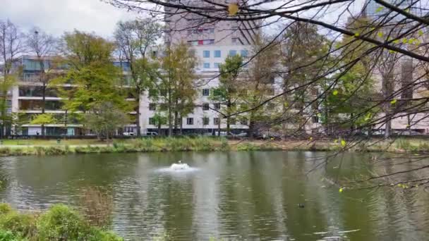 ブリュッセルのレオポルド公園の池 — ストック動画