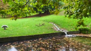 Brüksel 'deki Leopold parkında bir gölet
