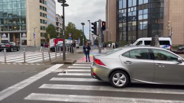Mobil Mengemudi Jalan Dengan Zebra Melintasi Garis Dalam Warna Pelangi — Stok Video