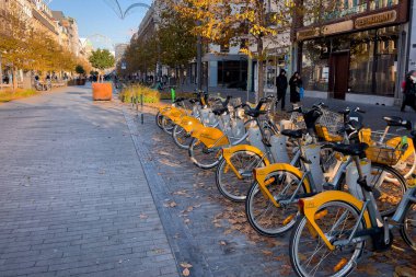Brüksel, Belçika 'da sokakta kiralık bisiklet parkındaki sarı bisiklet sıraları.