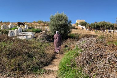 Fas, Fas 'ta bir mezarlıkta yürüyen Müslüman bir kadının arka görüntüsü.
