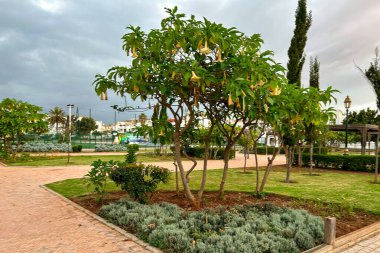 Empty kids playground in Rabat, Morocco