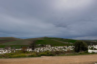 Fes, Fas 'ta mezarlıklarla dolu bir Müslüman mezarlığının manzarası.