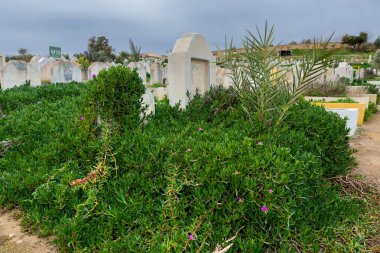 Fes, Fas 'ta mezarlıklarla dolu bir Müslüman mezarlığının manzarası.