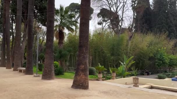 Jnan Sbil Garden Old Town Fez Morocco — Stockvideo