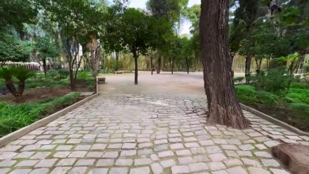 Jnan Sbil Garden Old Town Fez Morocco — Videoclip de stoc