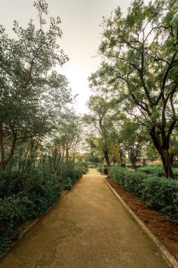 Empty pathway in a public park 