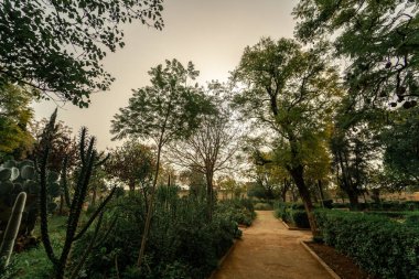 Empty pathway in a public park 