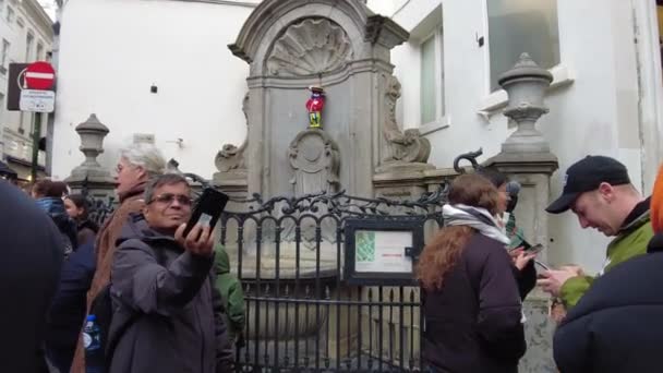 Tourists Visiting Manneken Pis Brussels Belgium — Stock Video