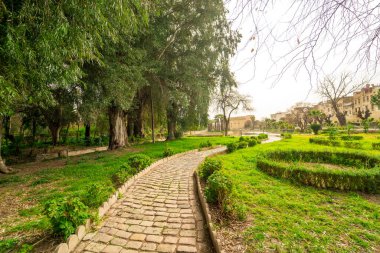 Fas 'ın eski kenti Fez' deki Jnan Sbil Bahçeleri 'nde kaldırım taşı patikası.